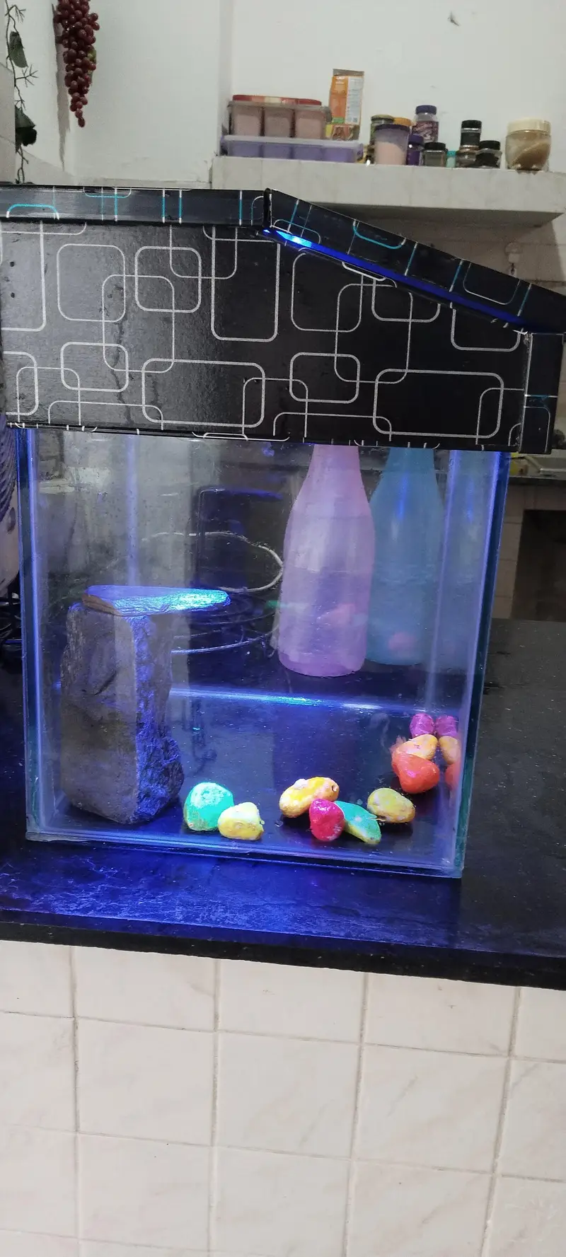 Beautiful Medium Fish Aquarium — photo 7