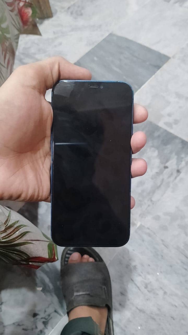 Apple iPhone 12 2