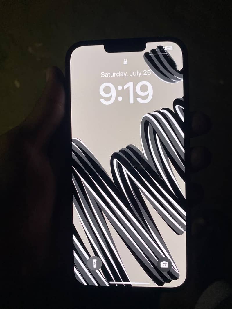 Apple iPhone 13 Pro Max 1