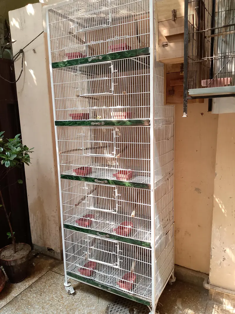5 Portion Birds Cage — photo 3