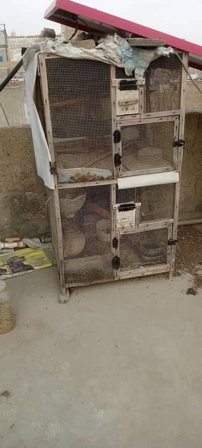 Cage sale 2by 2by 2 size hai dual jali lagaiwe hai
