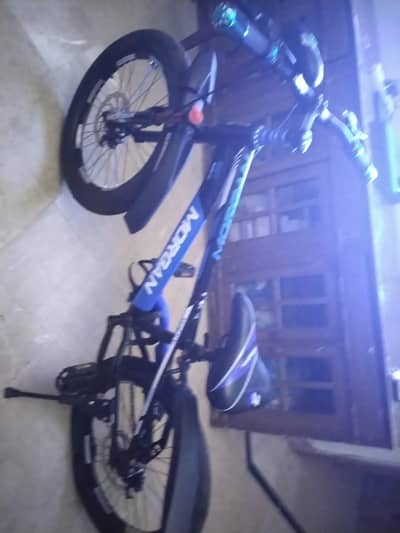 mountain bike