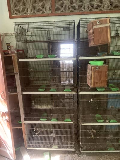 7 cages for sale