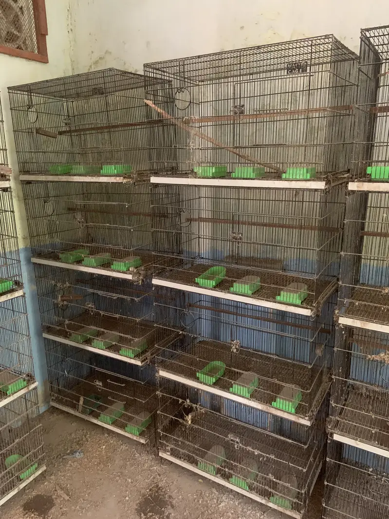7 cages for sale — photo 2