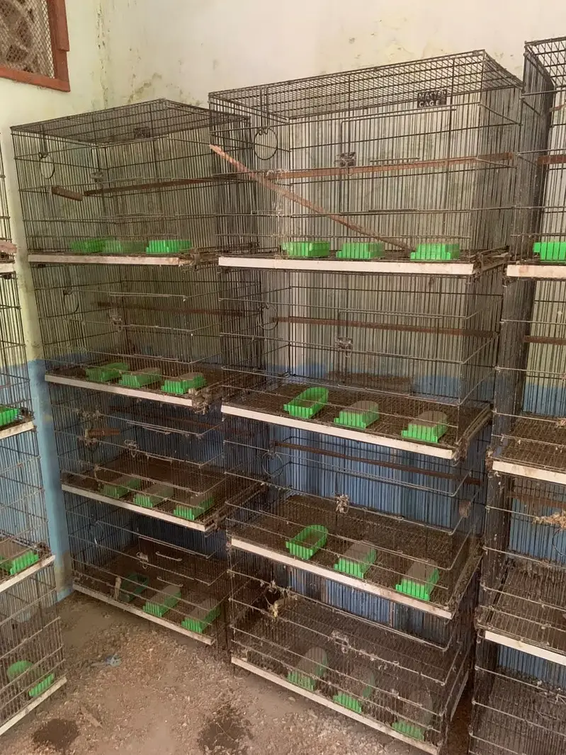7 cages for sale — photo 4