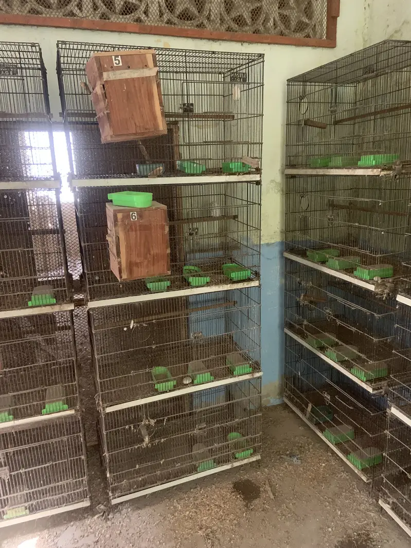 7 cages for sale — photo 5