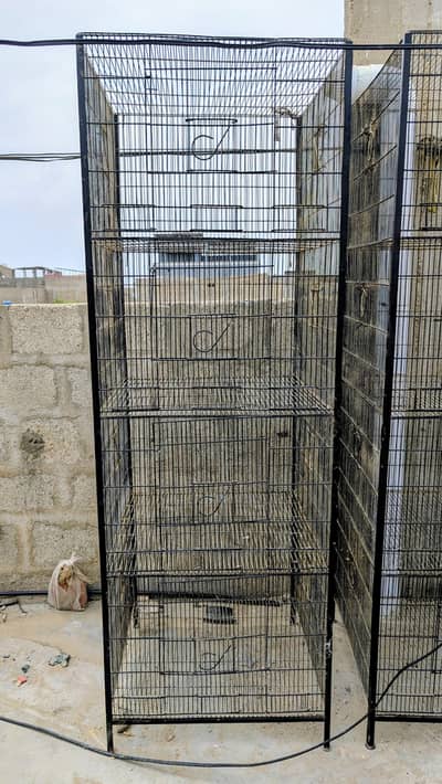 Birds cage for sale with excellent condition