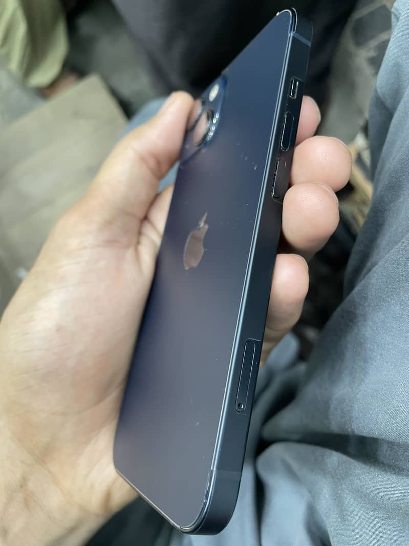 Apple iPhone 13 0