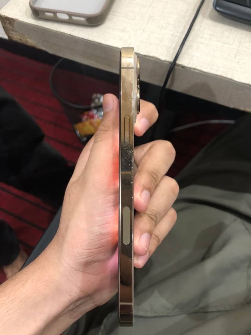 Apple iPhone 13 Pro Max 5