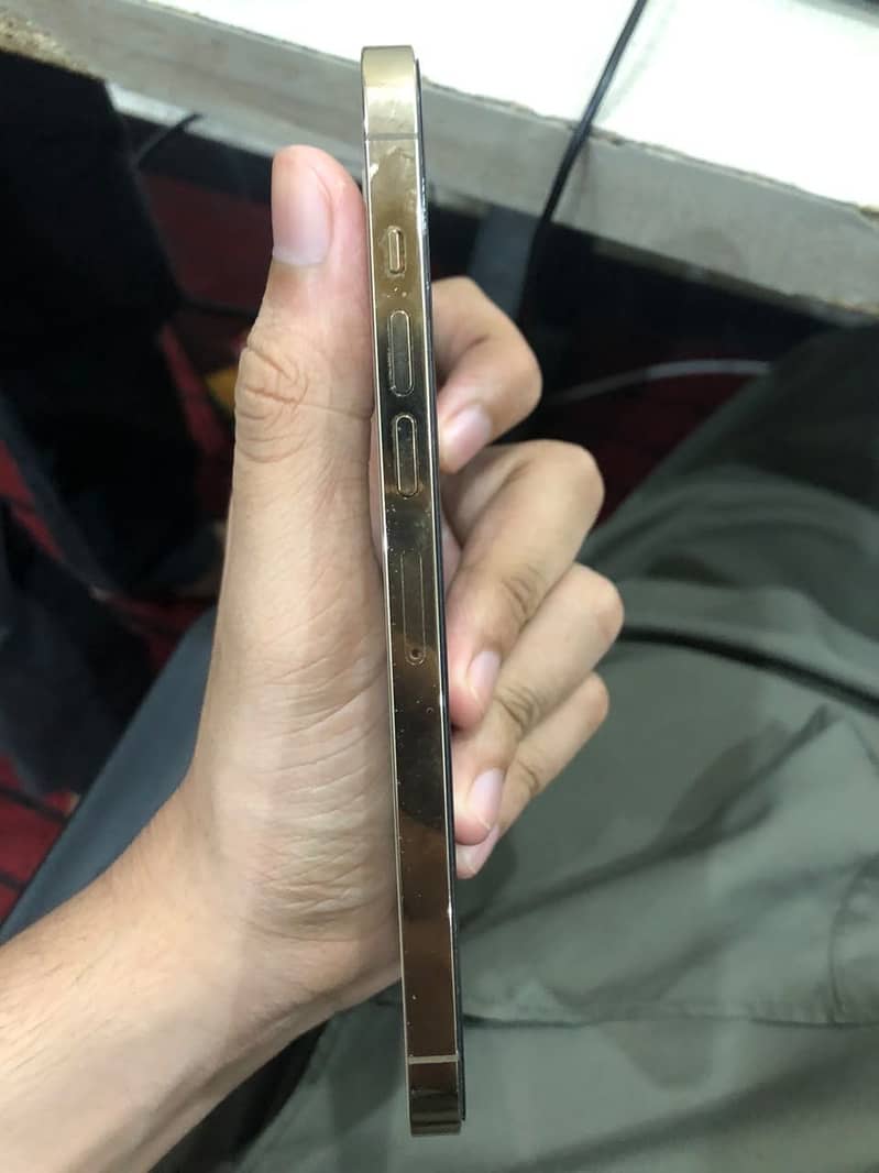 Apple iPhone 13 Pro Max 7