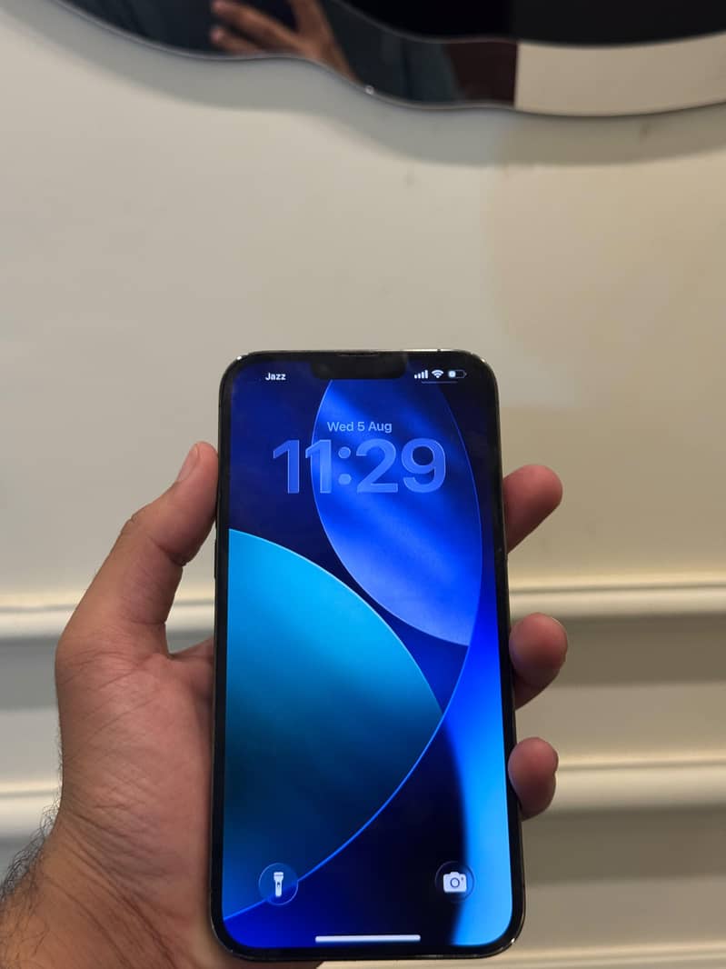 Apple iPhone 13 Pro Max 0