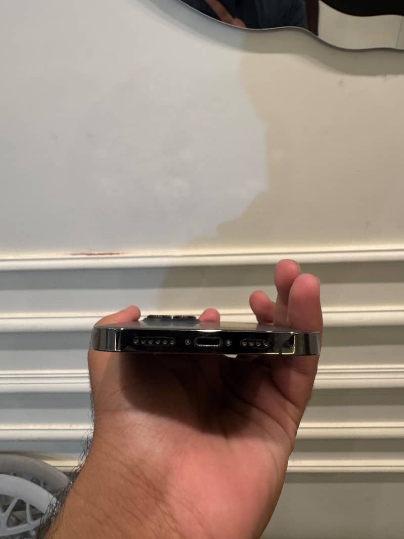 Apple iPhone 13 Pro Max 1