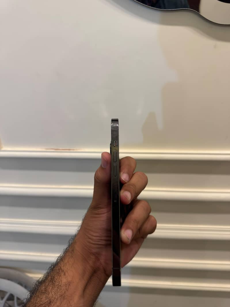 Apple iPhone 13 Pro Max 6