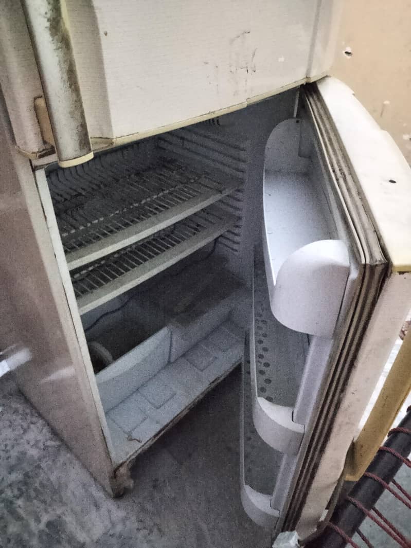 PEL Fridge Medium Size 1