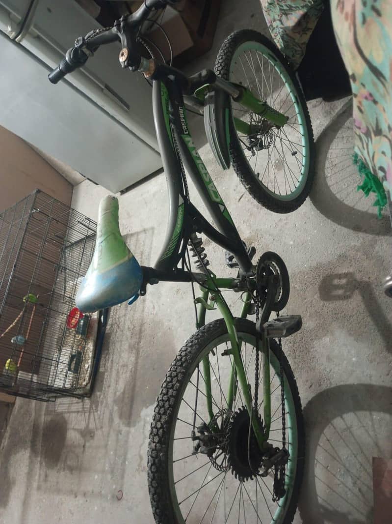 bycycle 4