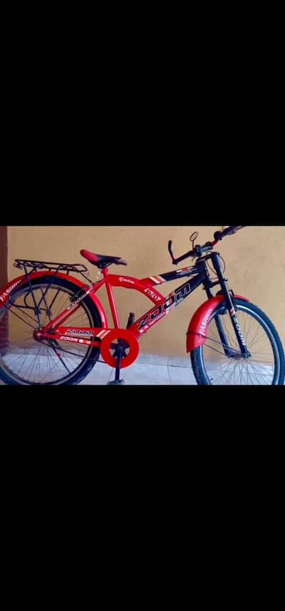 Neet and clean Bicycle