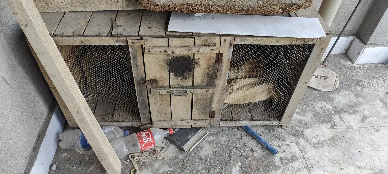 Wood Cage — photo 2