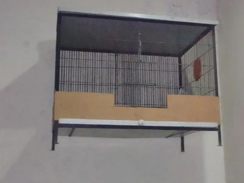 High quality birds cage for sale — photo 2