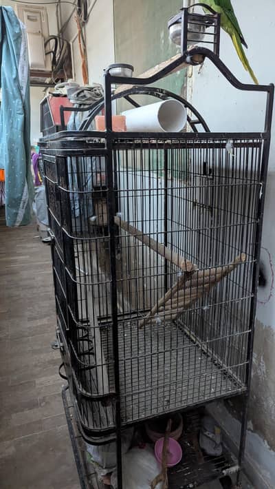 iron cage.