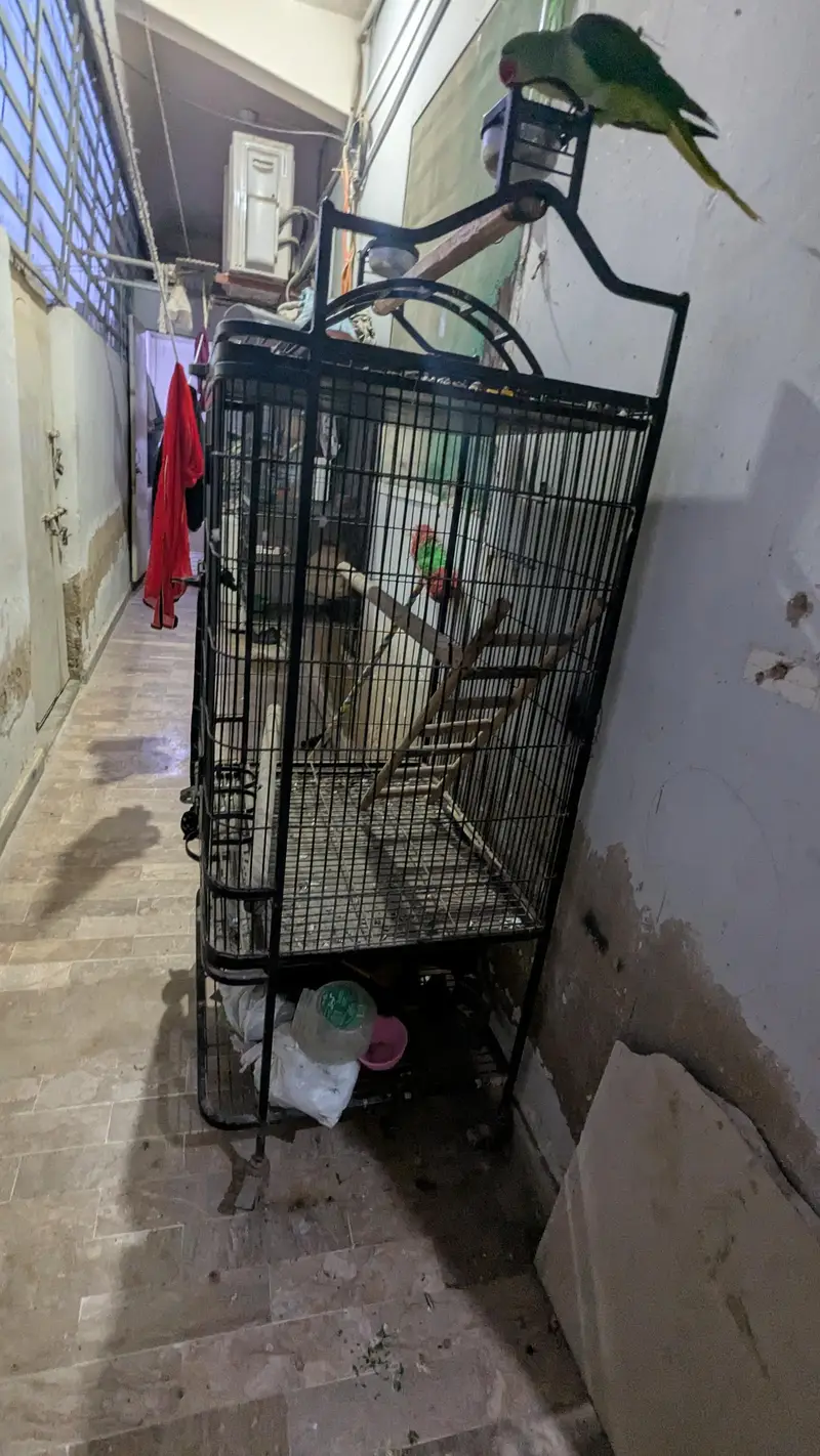 iron cage. — photo 2