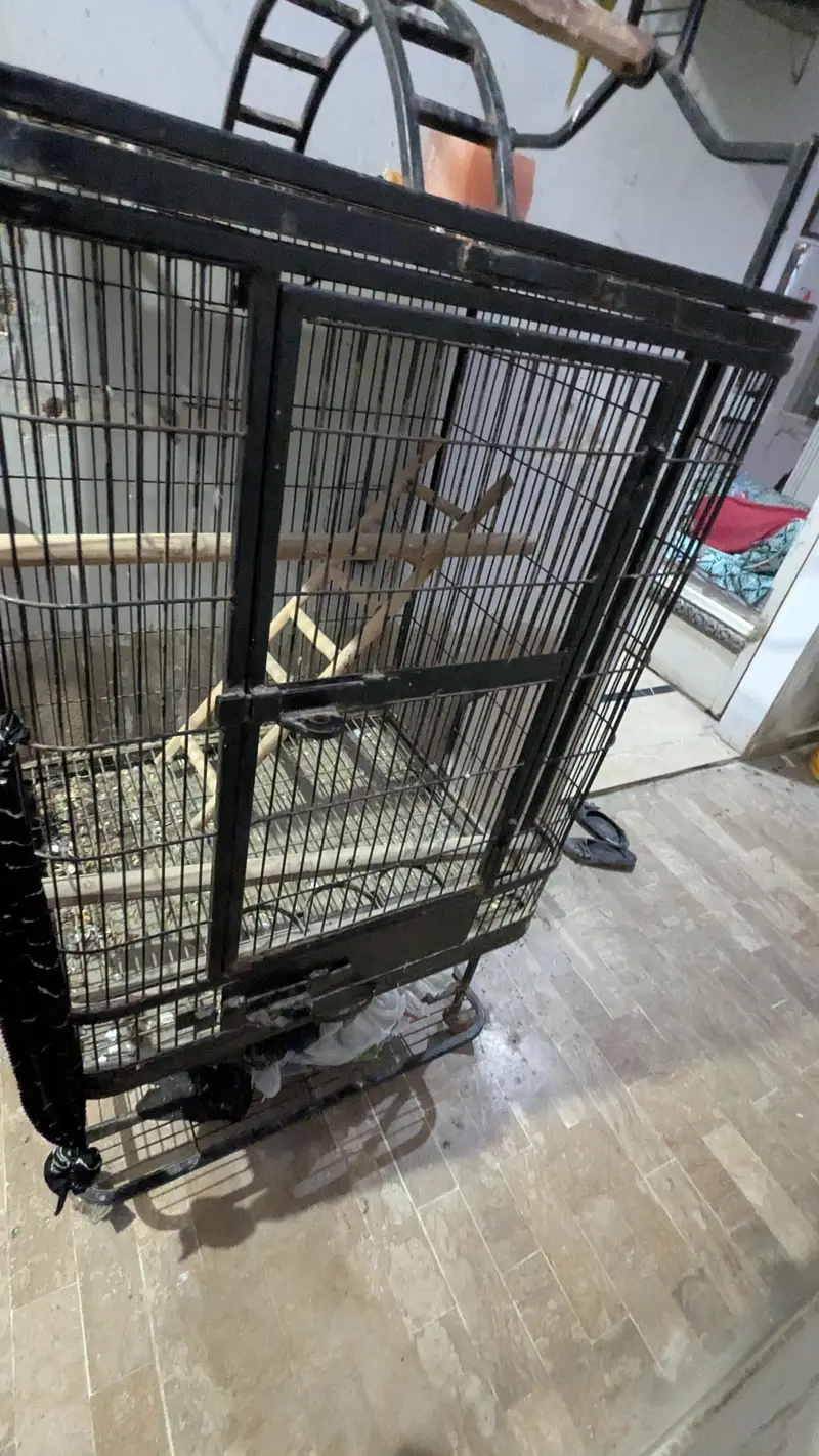 iron cage. — photo 5