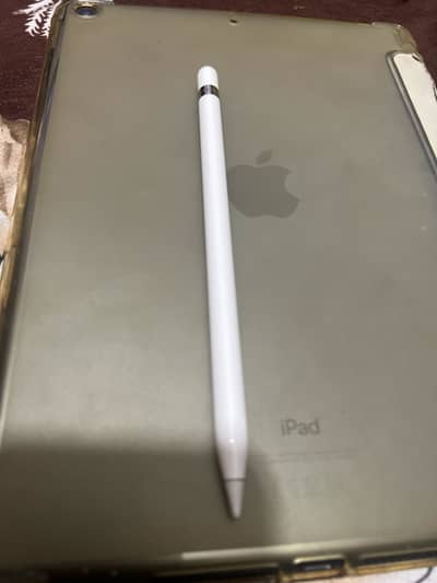 Apple Pencil
