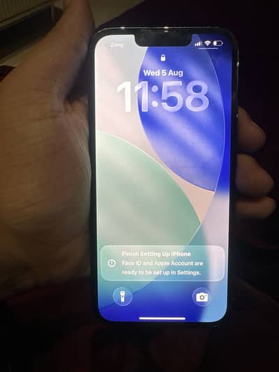 iPhone 13 pro