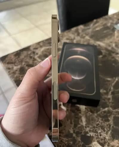 Apple iPhone 12 Pro Max