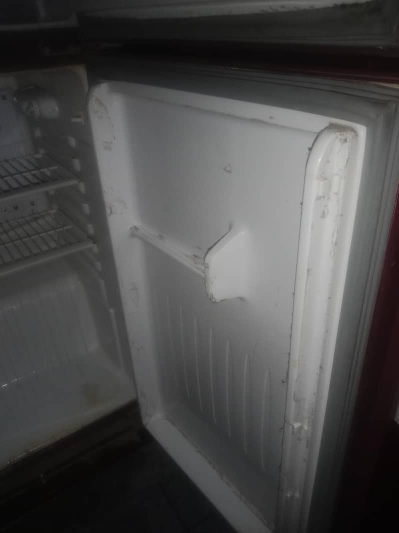 fridge 1