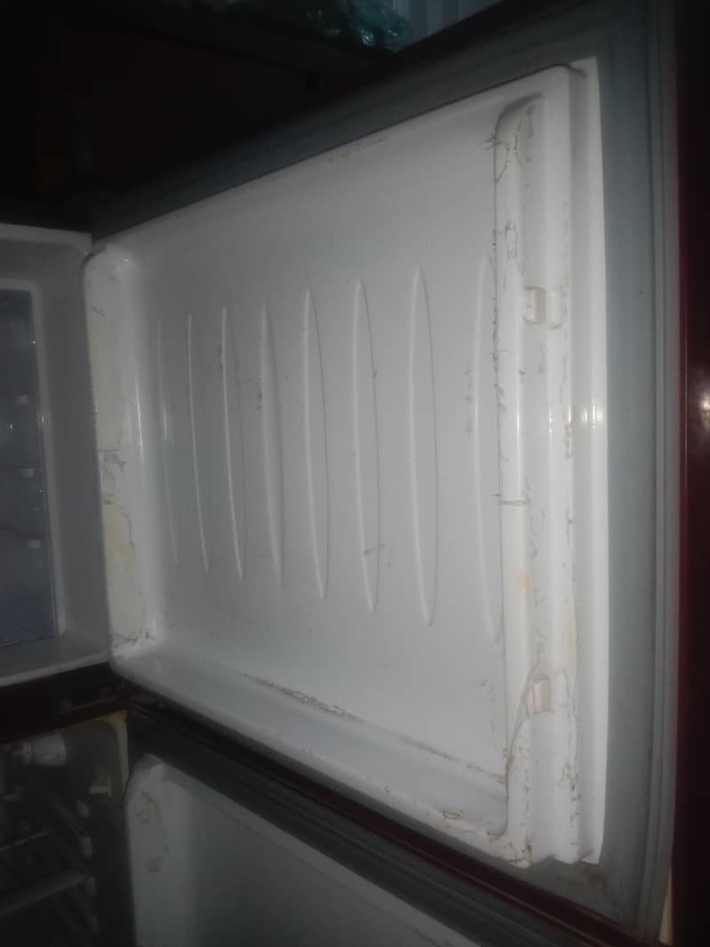 fridge 2