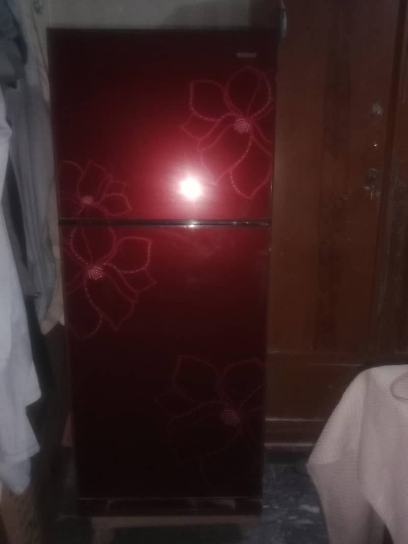 fridge 5