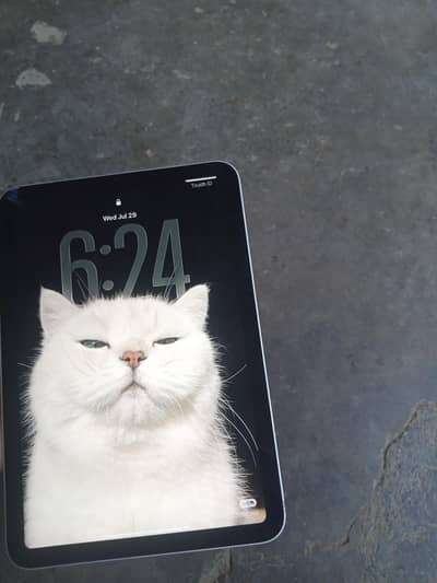 ipad mini 6 64gb all okay exchange possible