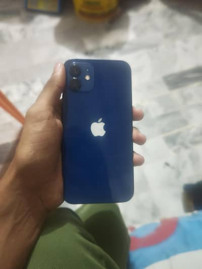 Apple iPhone 12
