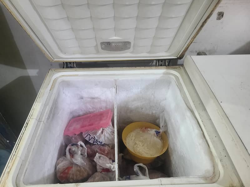 Deep Freezer 1
