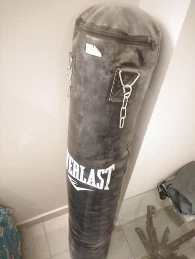 new punching boxing beg