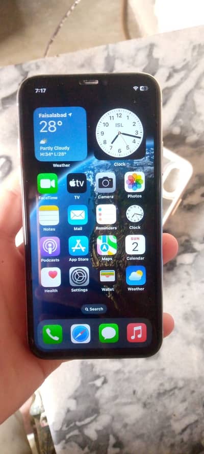 Apple iPhone X