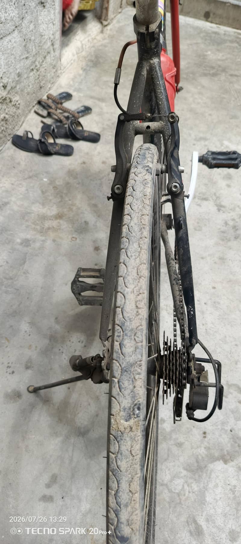 bicycle 6