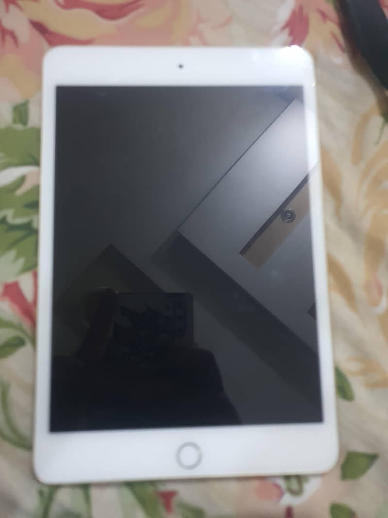 Ipad mini 4 0