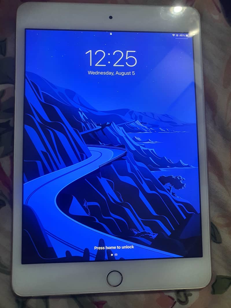 Ipad mini 4 1