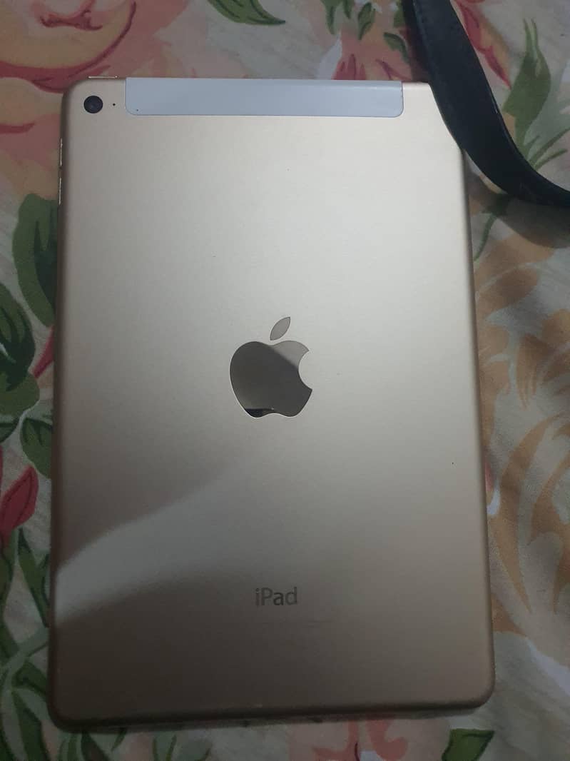 Ipad mini 4 3