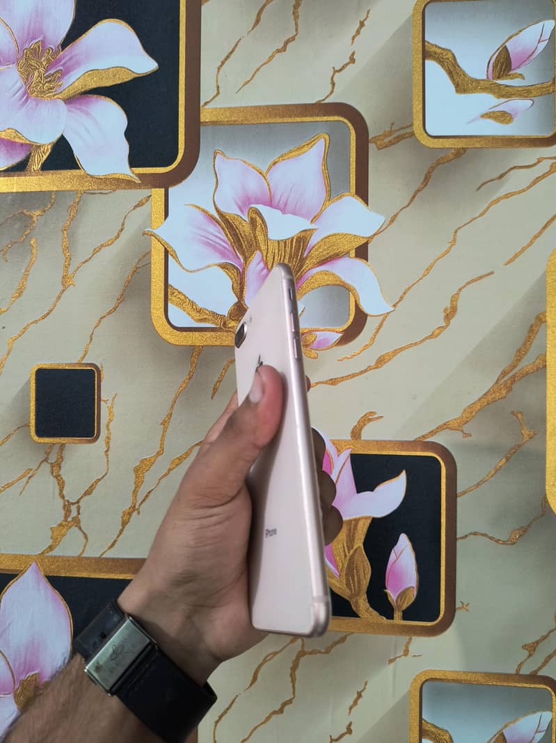 Apple iPhone 8 Plus 1
