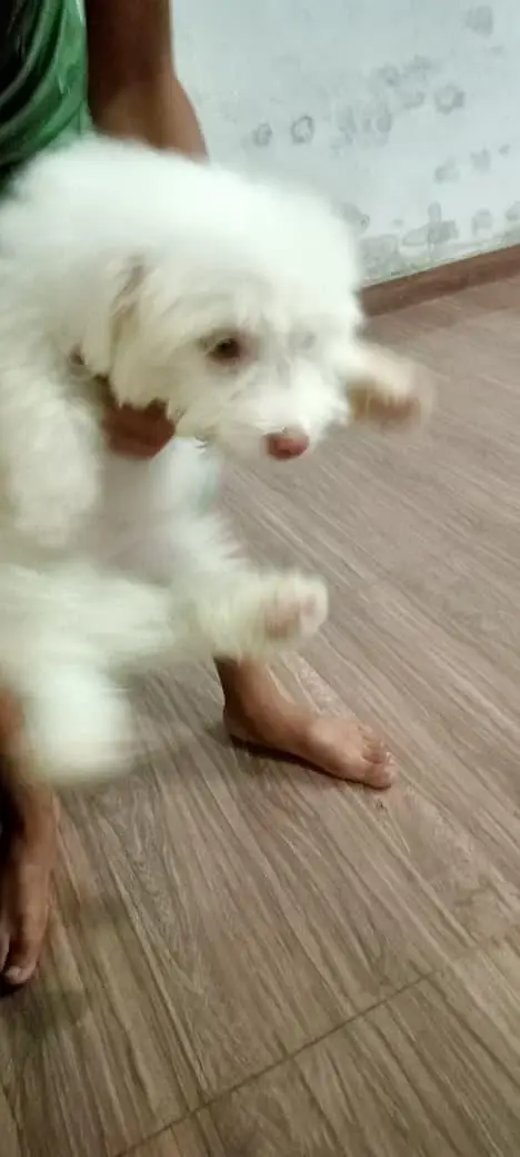 jiss bahi ko chahiye rabbta number 03128127213 — photo 2