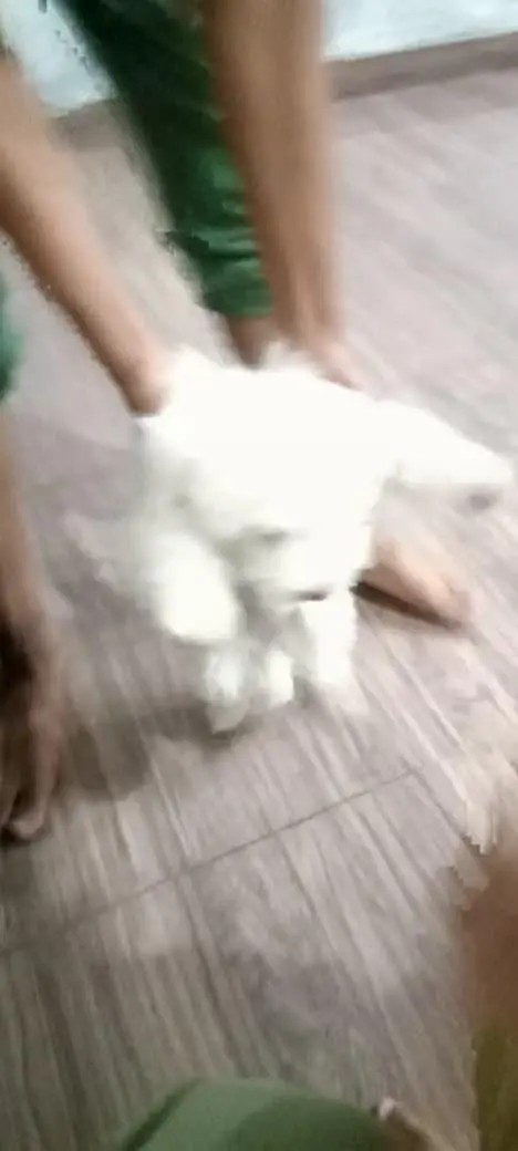 jiss bahi ko chahiye rabbta number 03128127213 — photo 3