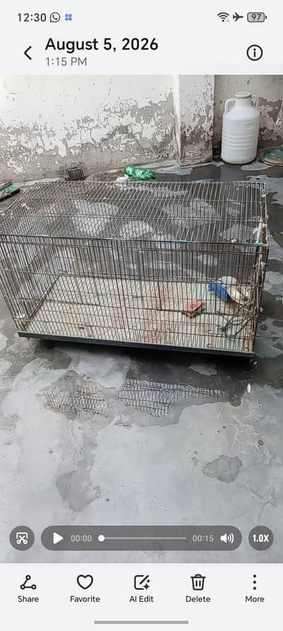 Cages in Good Condition
