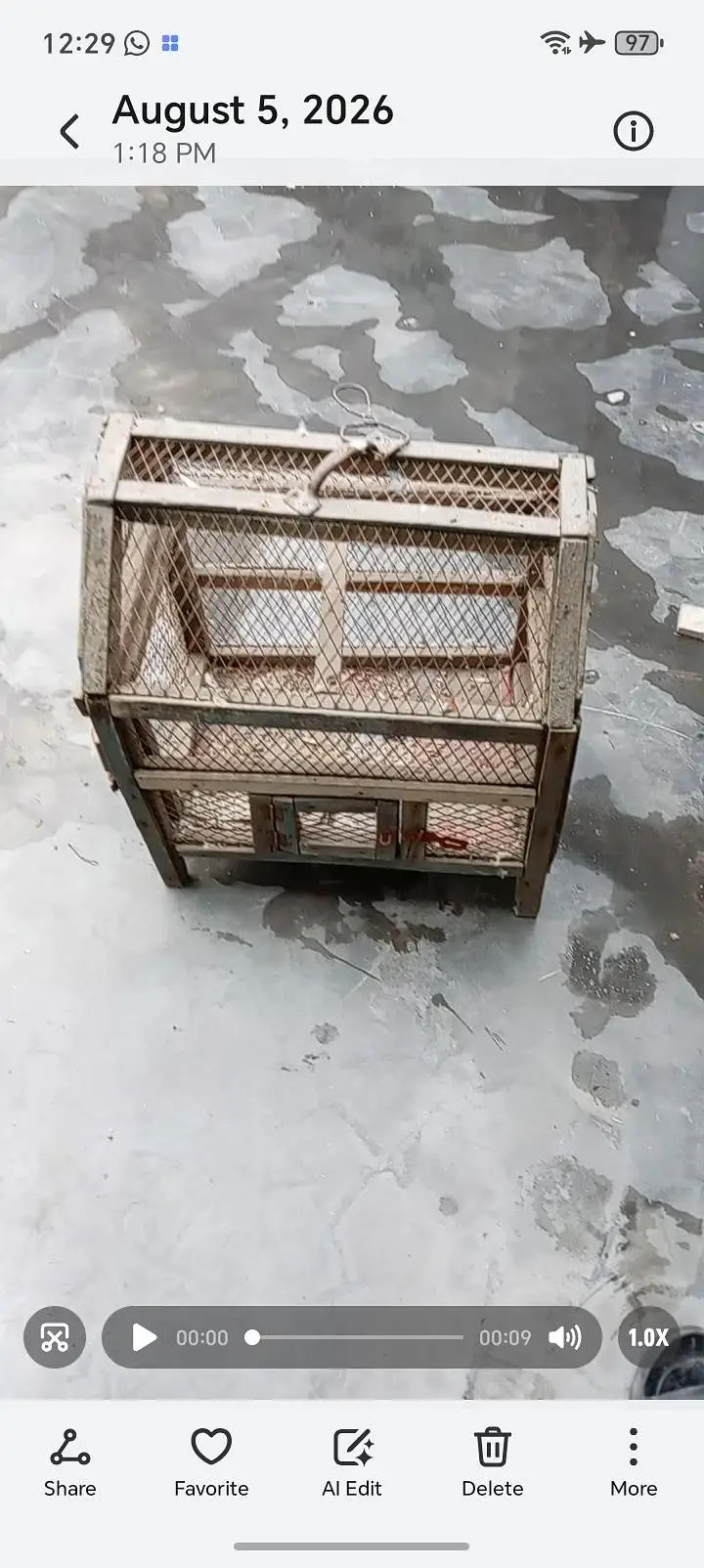 Cages in Good Condition — photo 2