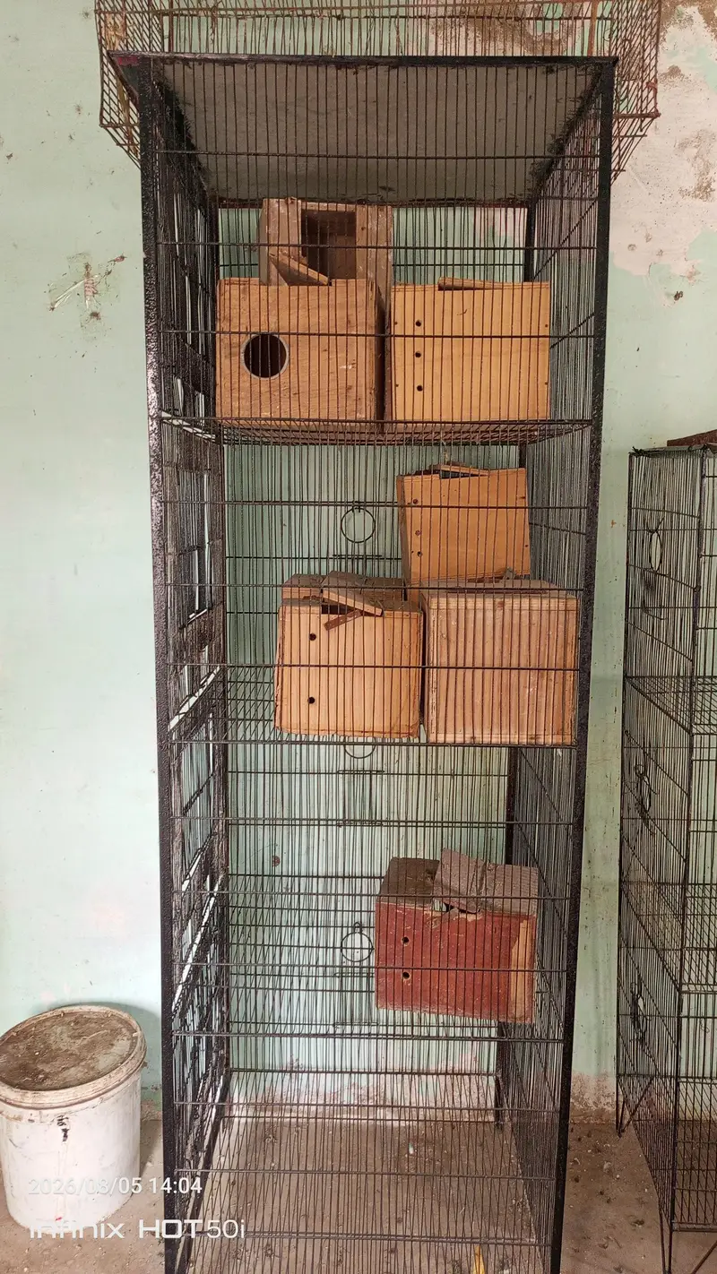 old but 10 by 10 condition — photo 2