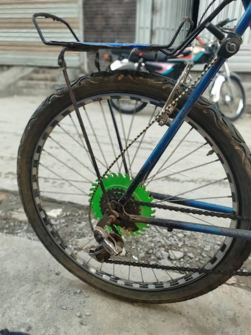 phonex cycle 1