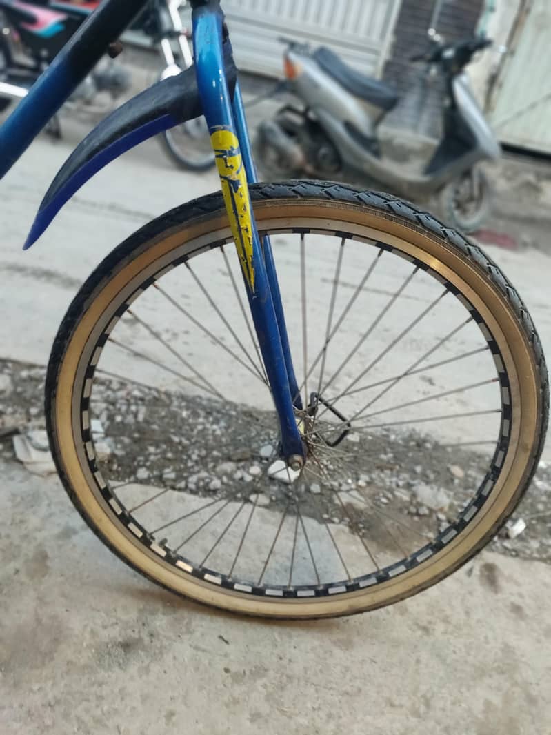 phonex cycle 2