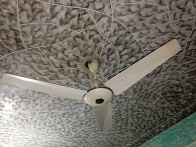 Pak fan 56 size fan for sale available.