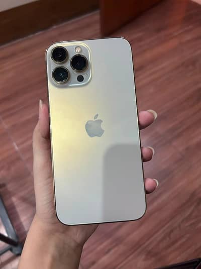 Apple iPhone 13 Pro Max